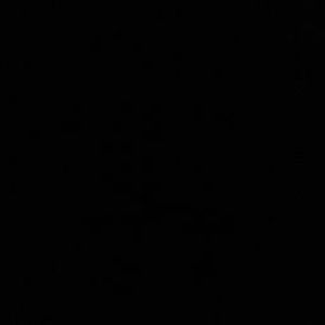 Meet your Posher, Camila